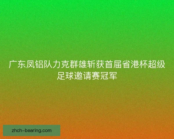 广东凤铝队力克群雄斩获首届省港杯超级足球邀请赛冠军
